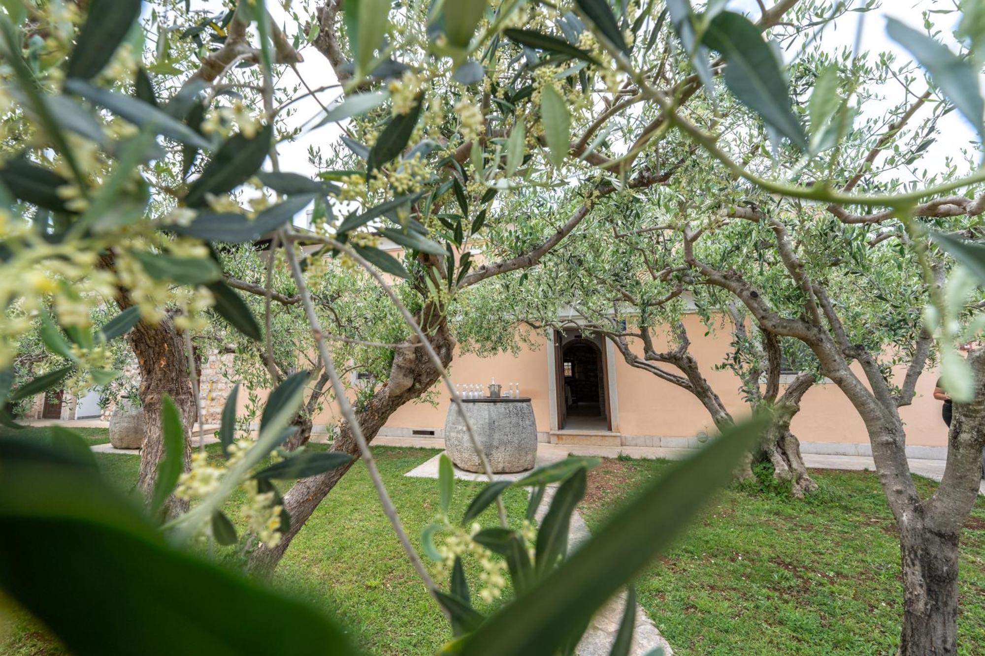 Seget  Hotel Maslina المظهر الخارجي الصورة